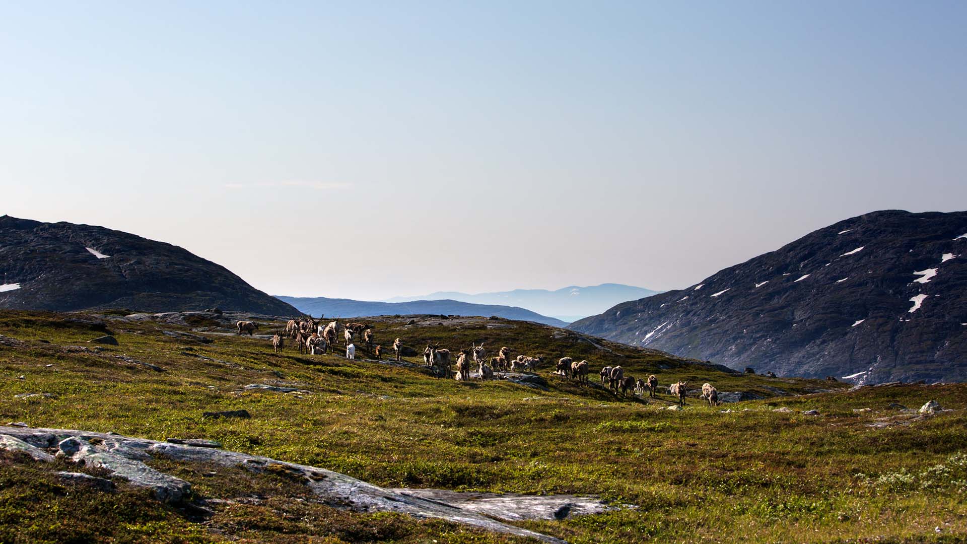 Vandring i Sylan